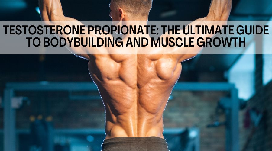 Testosterone Propionate: The Ultimate Guide To BodyBuilding And Muscle Growth
